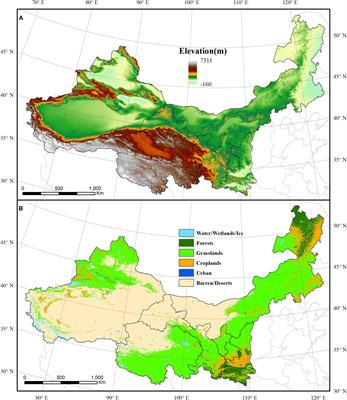 Drought-Induced Carbon and Water Use Efficiency Responses in Dryland Vegetation of Northern China